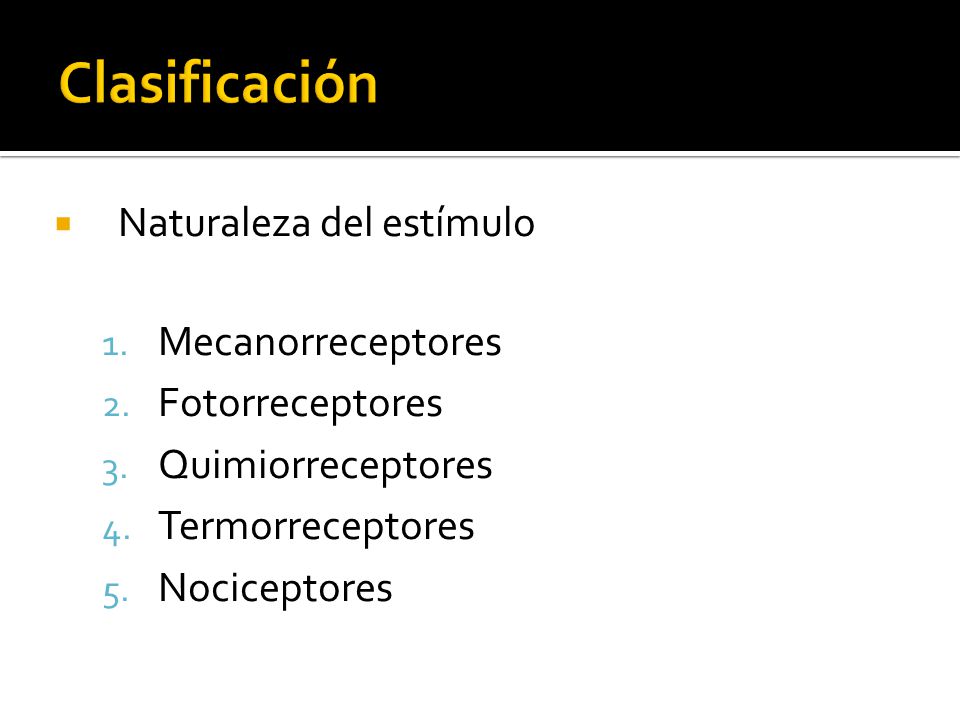  Naturaleza del estímulo 1. Mecanorreceptores 2.