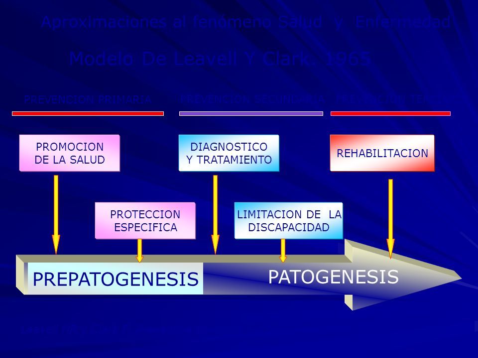 Modelos Explicativos Del Proceso Salud Enfermedad Ppt Descargar