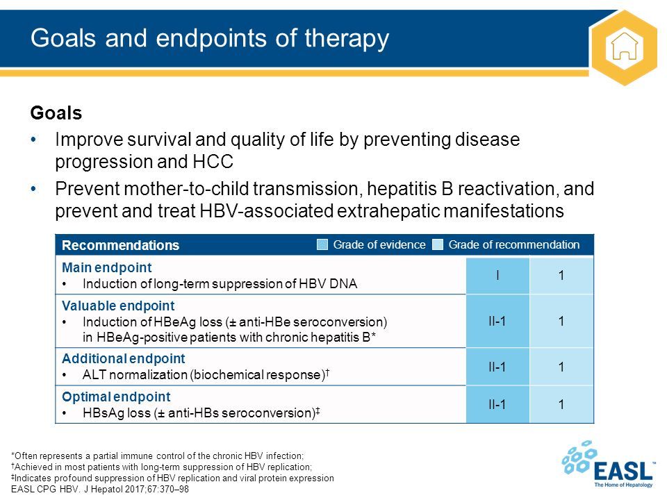 HBV Clinical Practice Guidelines. About These Slides These Slides Give ...