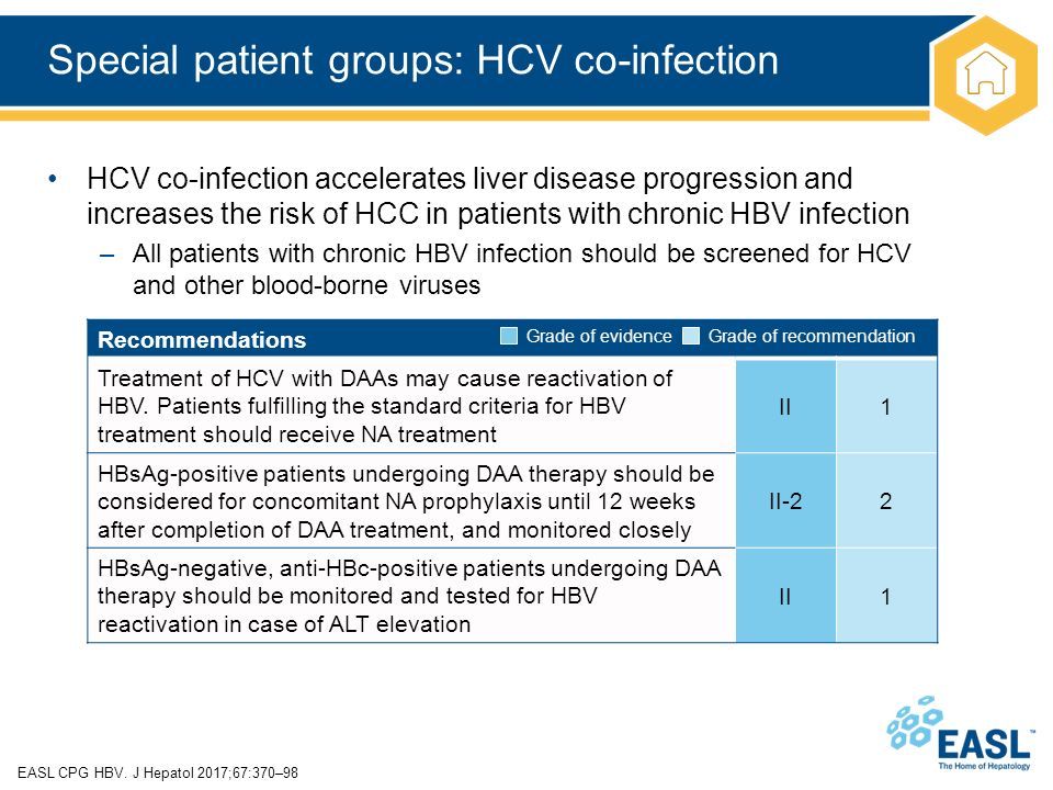 HBV Clinical Practice Guidelines. About these slides These slides give ...