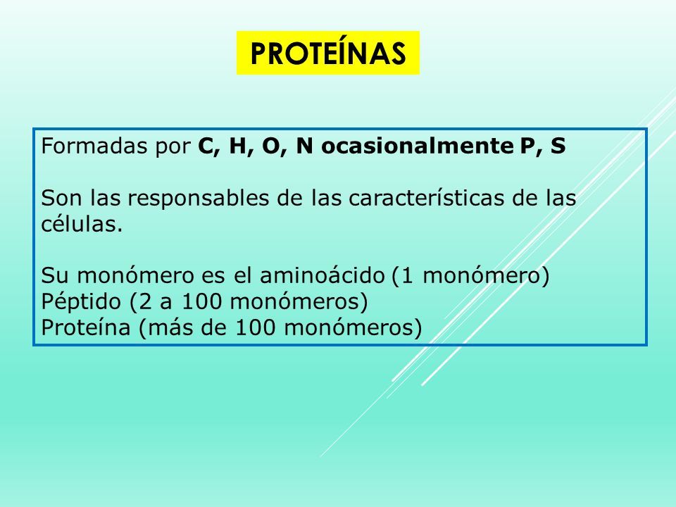 Clase 1 Niveles De Organización Y Biomoléculas InclusiÓn Propiedades Emergentes Ppt Descargar 7282