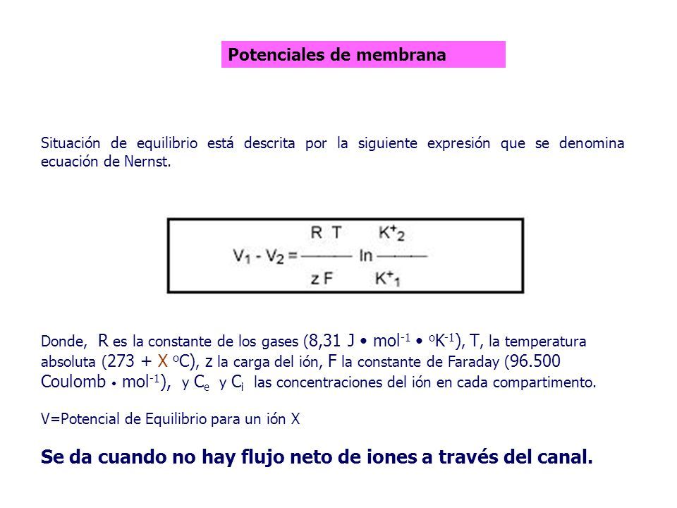 MEMBRANAS CELULARES Y TRANSPORTE. 1.- Delimitan Compartimentos ...