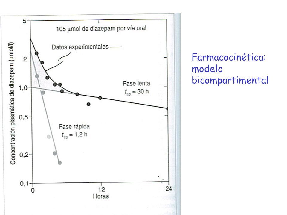 MENU DEL DIA Cronograma FARMACOCINÉTICA: Absorcion Modelos Distribucion  Metabolismo Eliminación. - ppt descargar