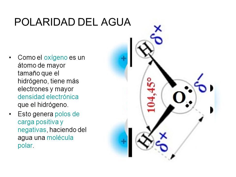 ESTADOS DE LA MATERIA S Ó L I D OL Í Q U I D O G A S E O S O ...