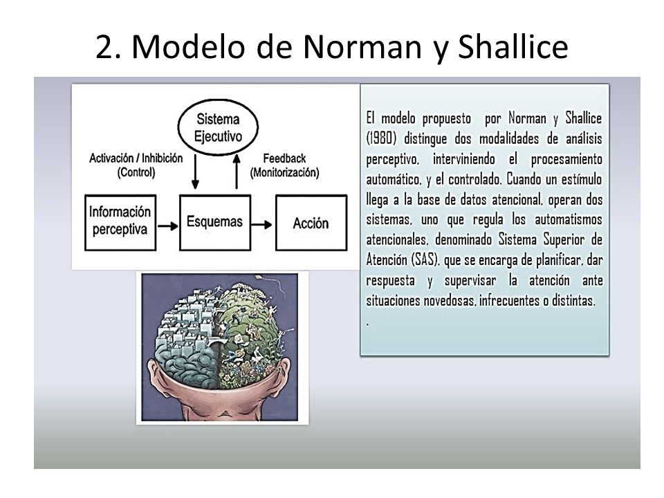 Nombres y Apellidos: Nancy Graciela Rojas Báez Profesión: Tecnóloga en  Ciencias de la Educación (Profesora de Nivel Primario) TEMA: MODELOS DE  ATENCIÓN. - ppt descargar