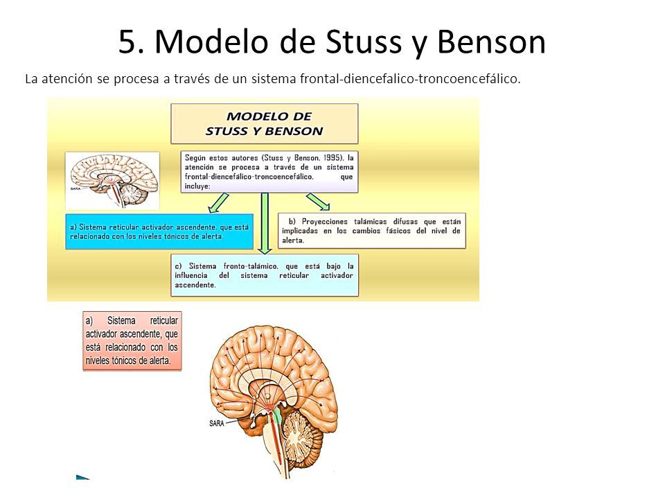 Nombres y Apellidos: Nancy Graciela Rojas Báez Profesión: Tecnóloga en  Ciencias de la Educación (Profesora de Nivel Primario) TEMA: MODELOS DE  ATENCIÓN. - ppt descargar