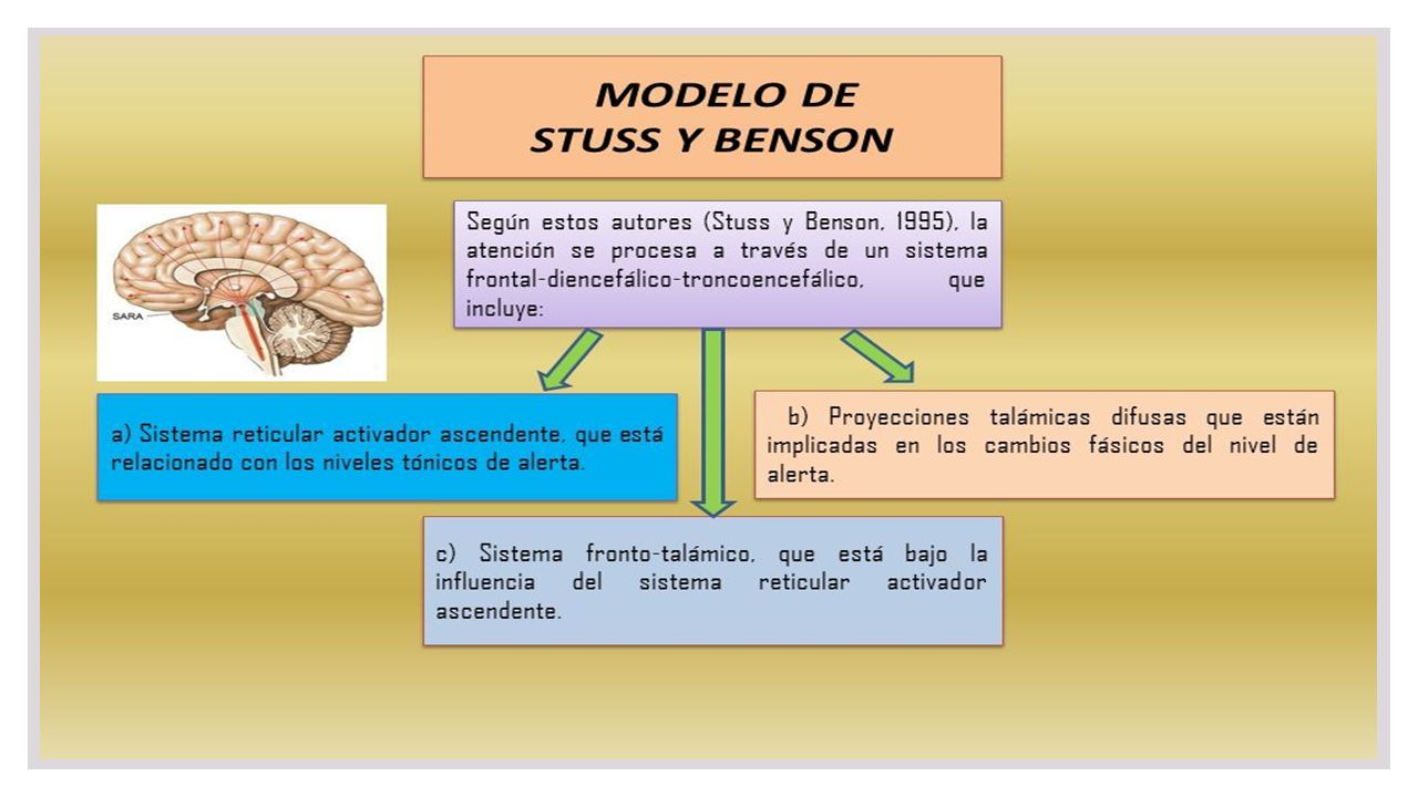 Modelos de atención - ppt descargar