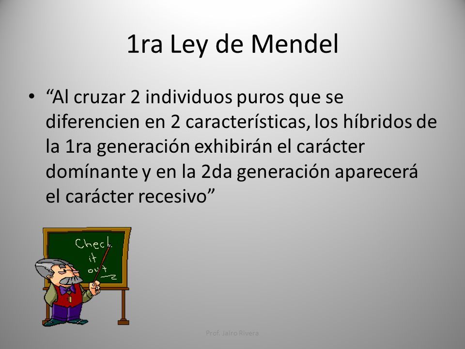 Ejercicios 1ra Ley de Mendel Prof. Jairo Rivera. 1ra Ley de Mendel “Al  cruzar 2 individuos puros que se diferencien en 2 características, los  híbridos. - ppt descargar