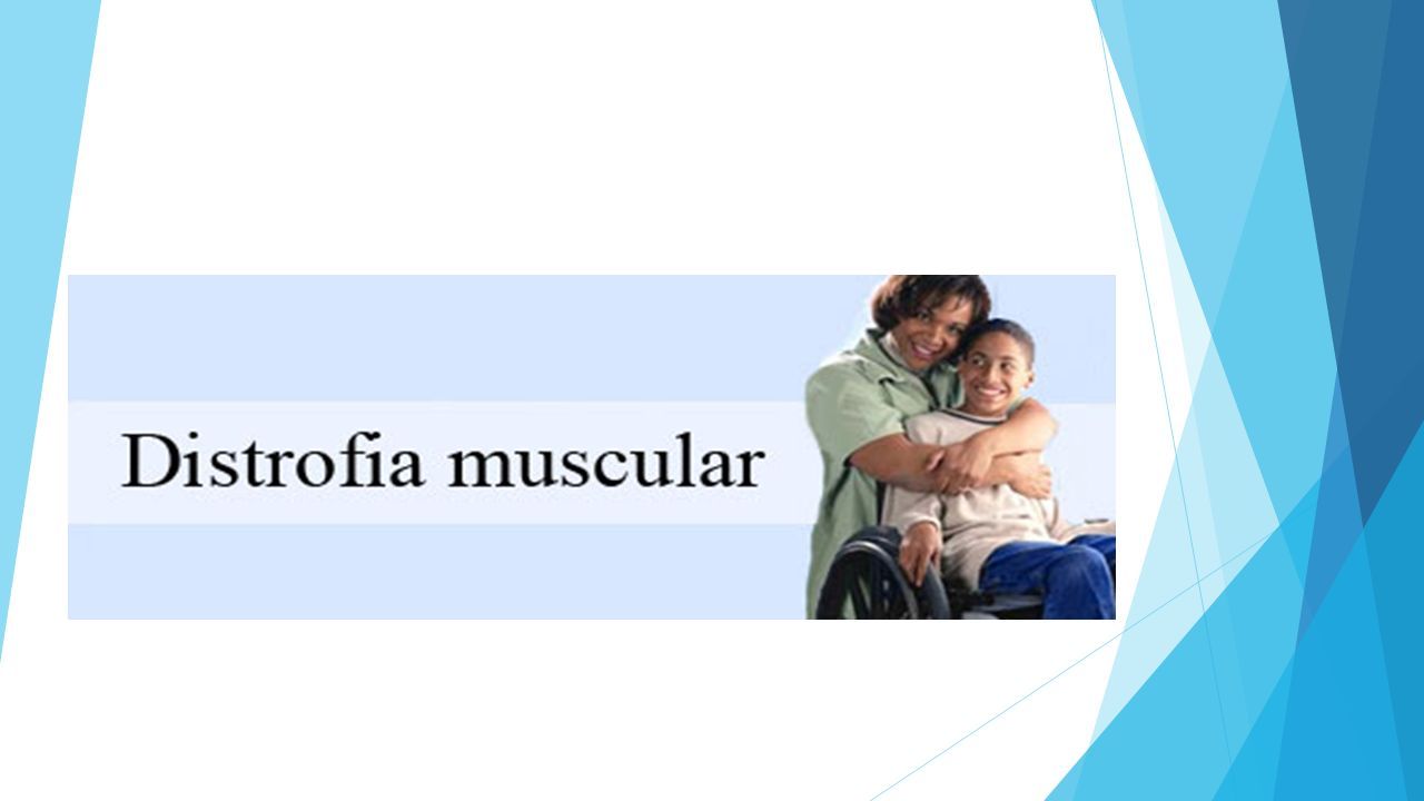 ¿qué Es La Distrofia Muscular La Distrofia Muscular Hace Referencia A