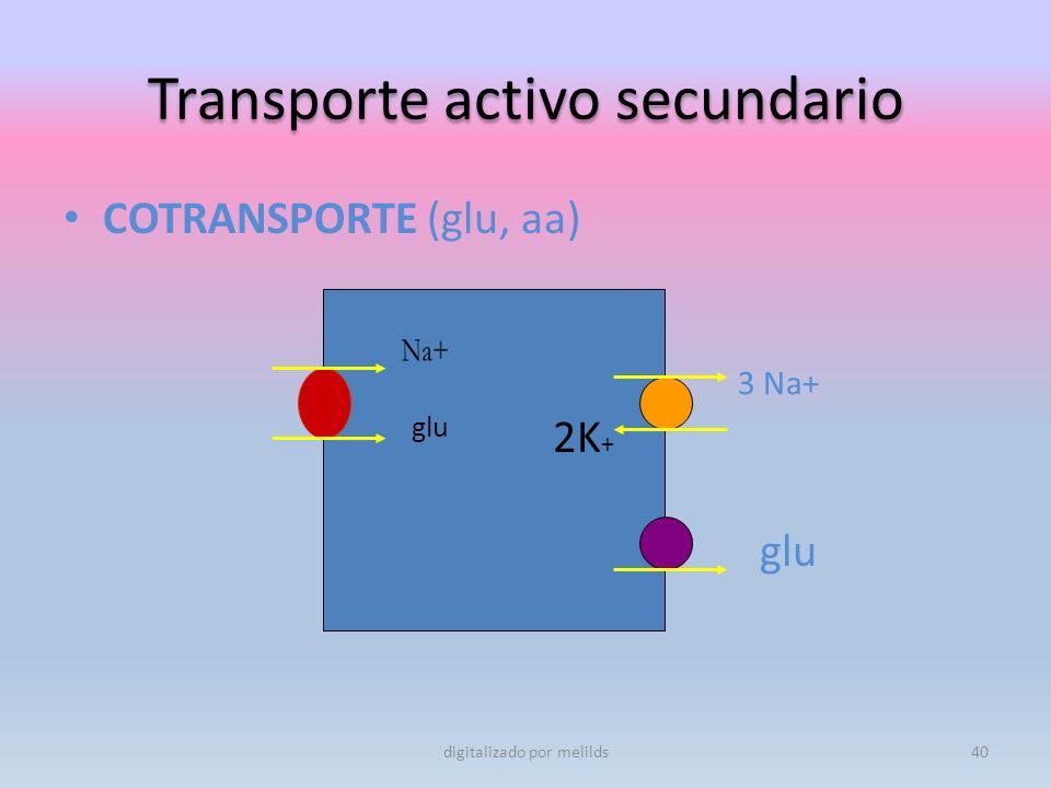 1. TEMA 2 TRANSPORTE DE MENBRANA PLASMATICA Y SISTEMA DE COMUNICACION ...