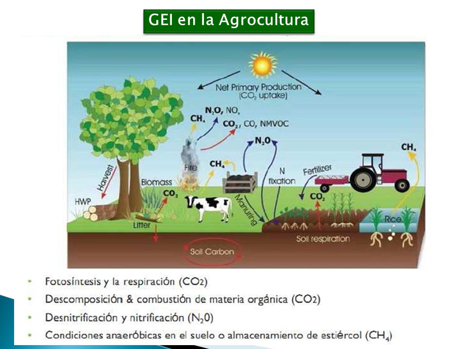 GEI en la Agrocultura