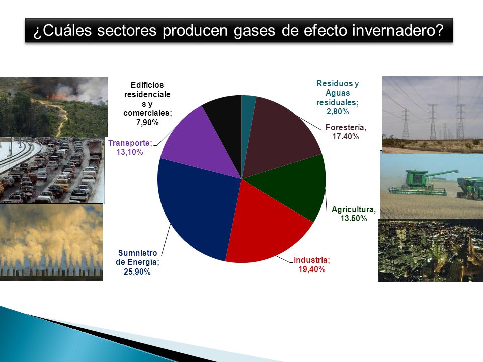 ¿Cuáles sectores producen gases de efecto invernadero