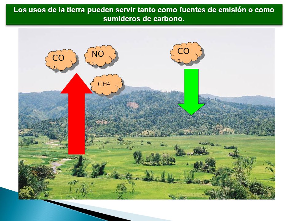 CO 2 NO 2 CH 4 Los usos de la tierra pueden servir tanto como fuentes de emisión o como sumideros de carbono.