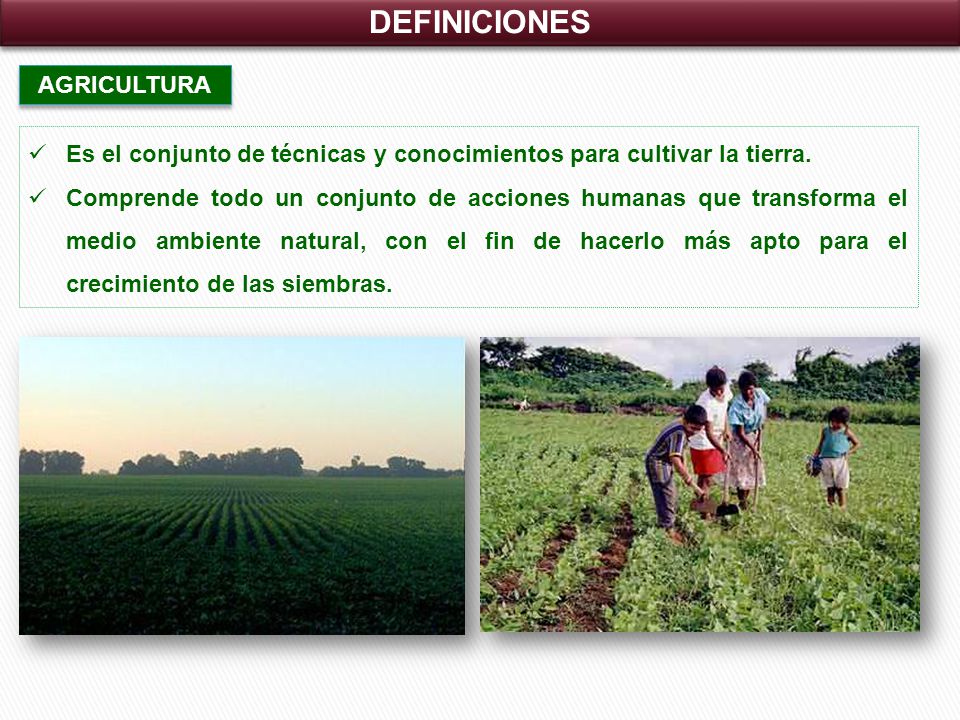 DEFINICIONES AGRICULTURA Es el conjunto de técnicas y conocimientos para cultivar la tierra.