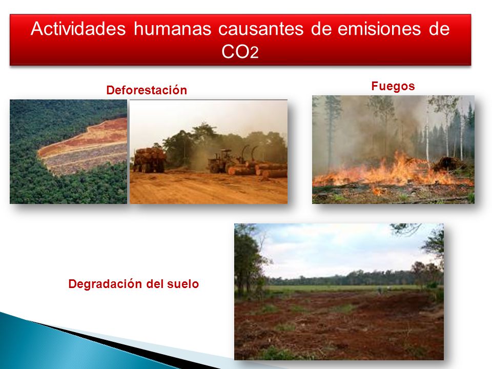 Deforestación Actividades humanas causantes de emisiones de CO 2 Fuegos Degradación del suelo