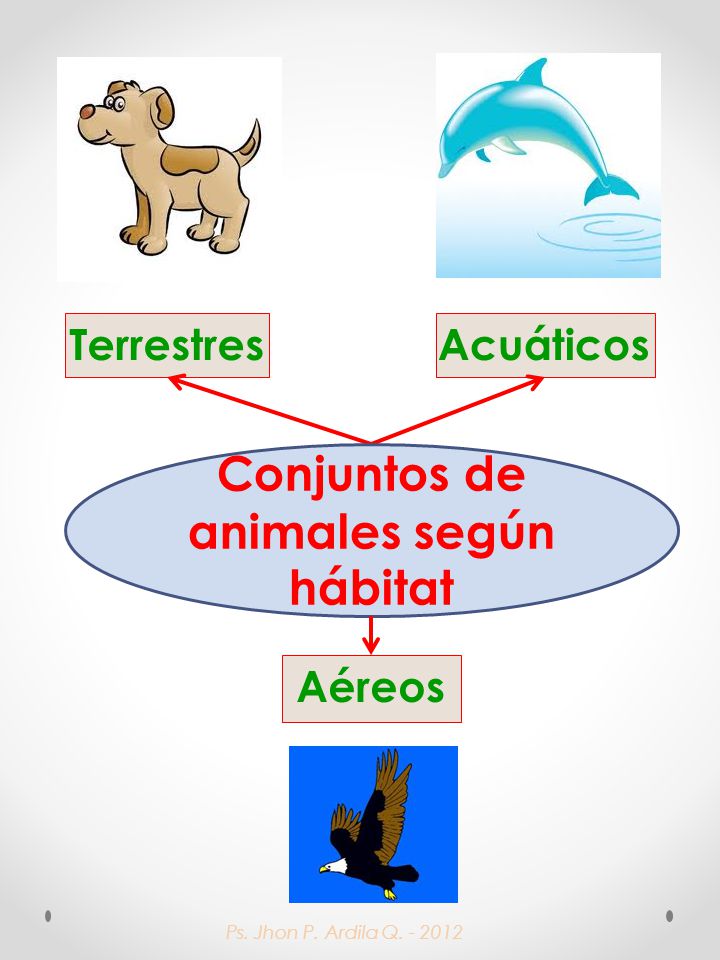 Ps. Jhon P. Ardila Q Acuáticos Aéreos Terrestres Conjuntos de animales según hábitat