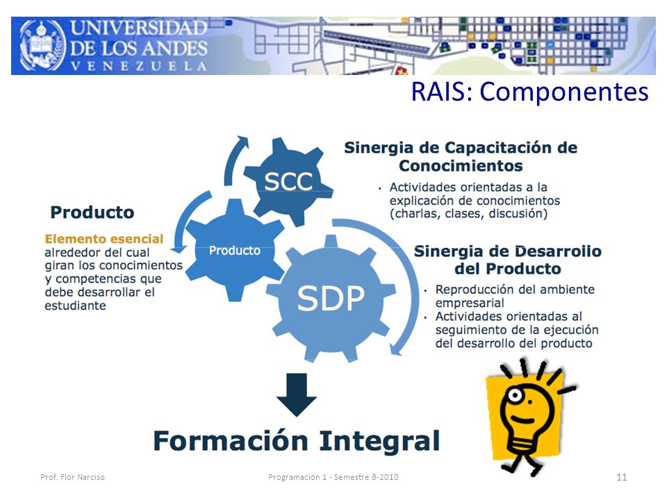 RAIS: Componentes Prof. Flor NarcisoProgramación 1 - Semestre B