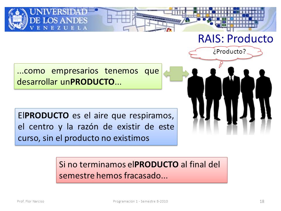 RAIS: Producto Prof.