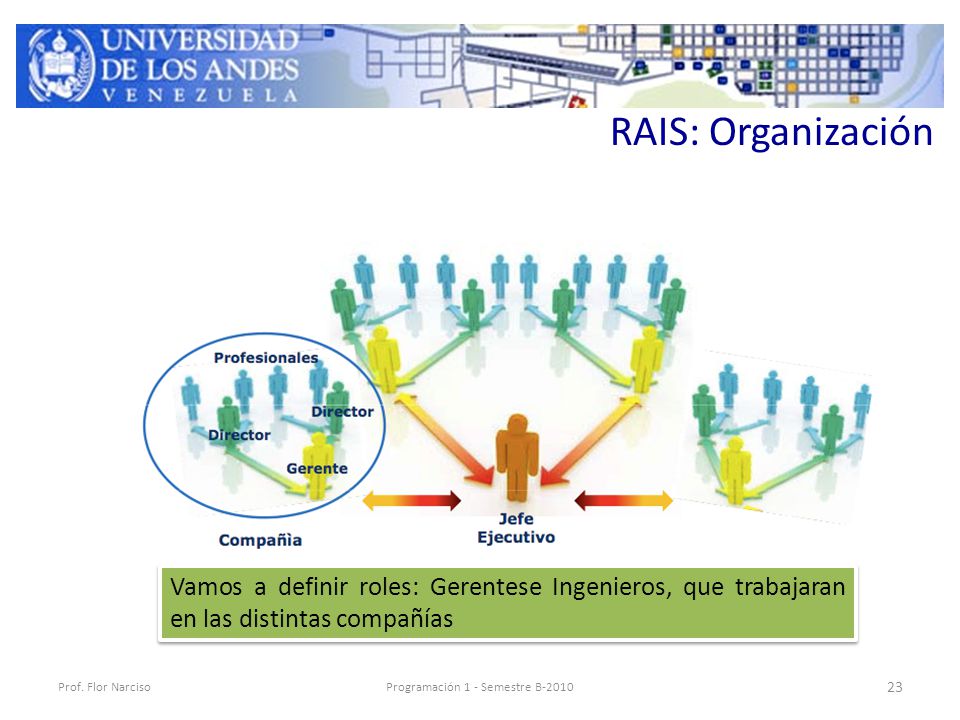 RAIS: Organización Prof.