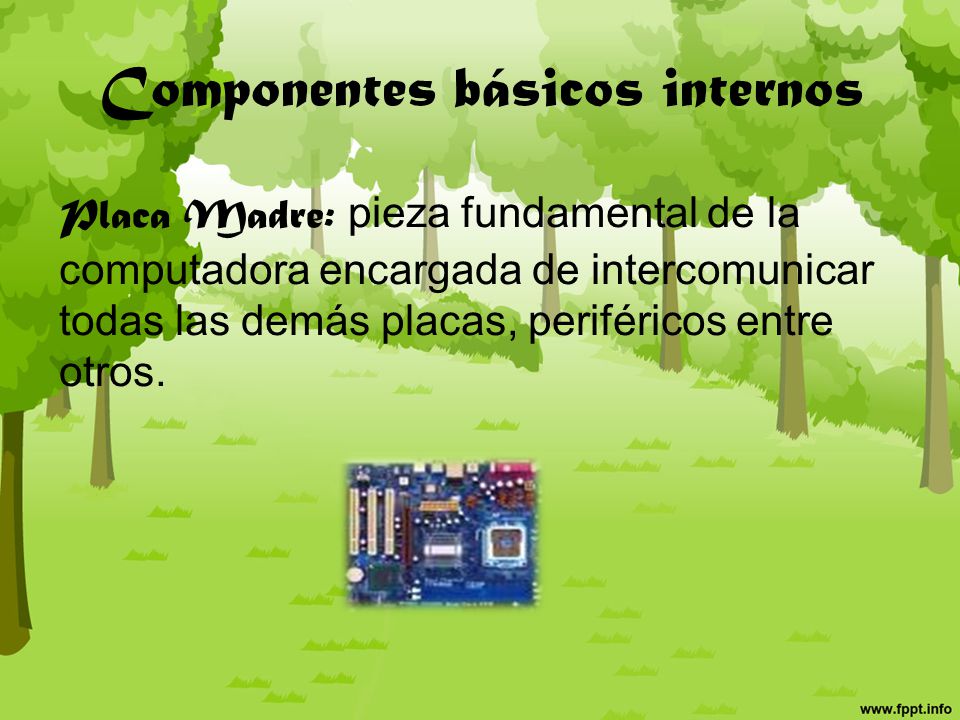 Periféricos y dispositivos de la computadora Hecho por: Luisa Fernanda Cochero