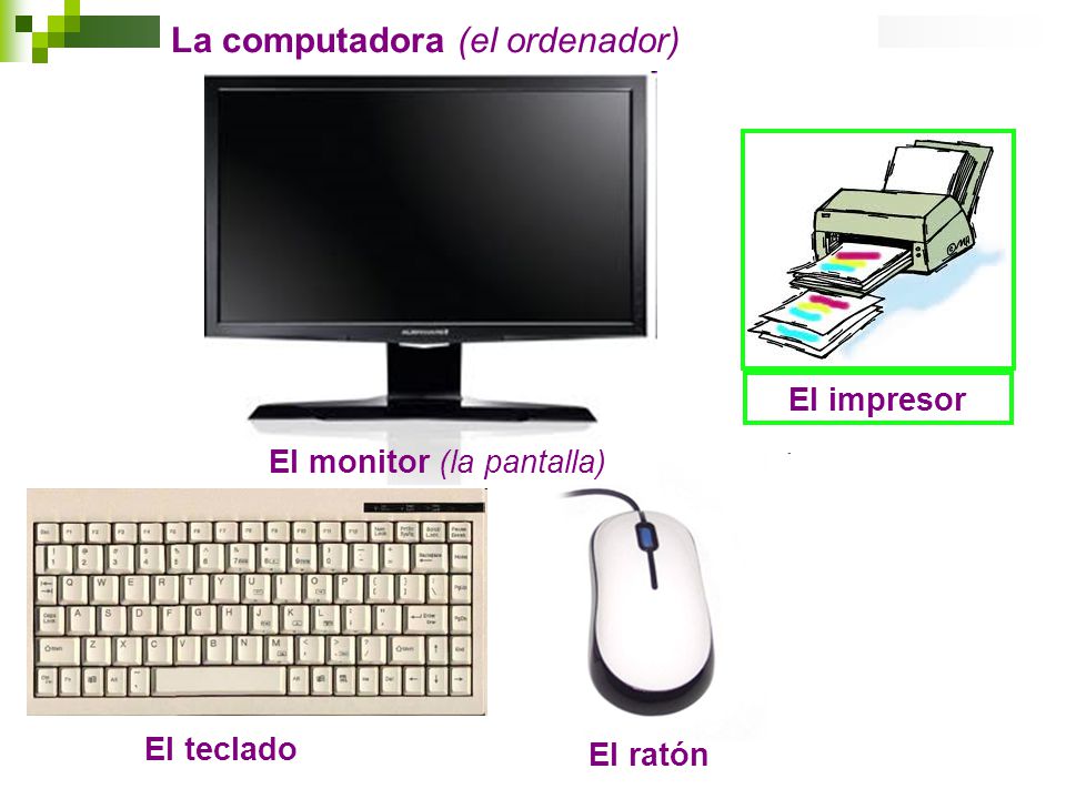 El monitor (la pantalla) El teclado El ratón La computadora (el ordenador) El impresor