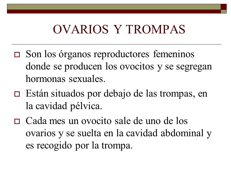 OVARIOS Y TROMPAS  Son los órganos reproductores femeninos donde se producen los ovocitos y se segregan hormonas sexuales.