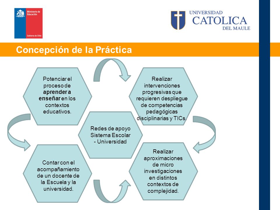 Concepción de la Práctica Potenciar el proceso de aprender a enseñar en los contextos educativos.