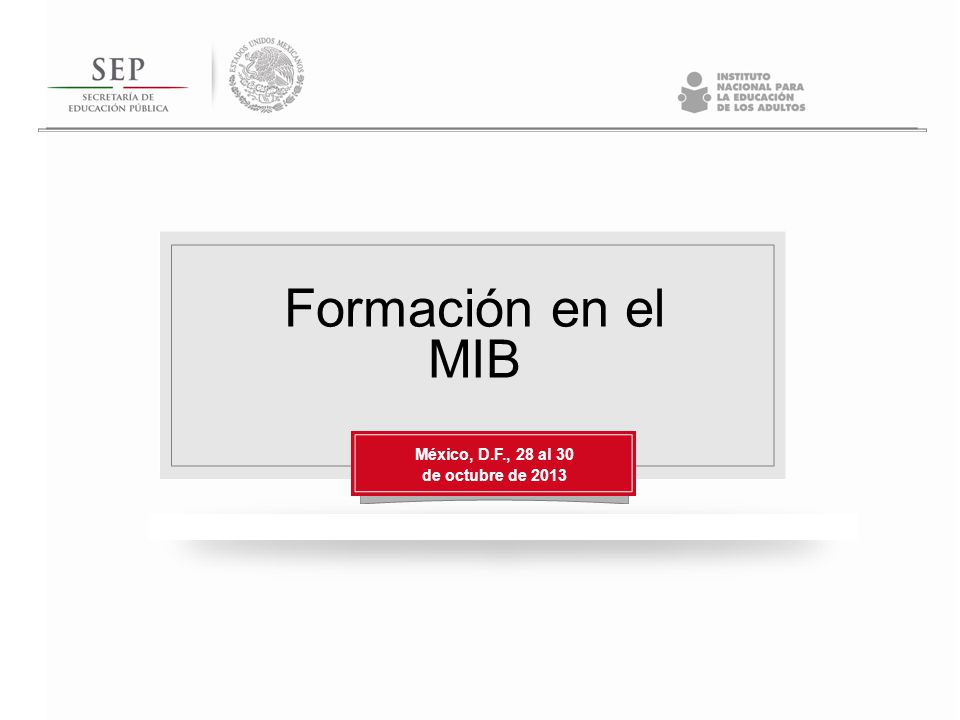 Formación en el MIB México, D.F., 28 al 30 de octubre de 2013