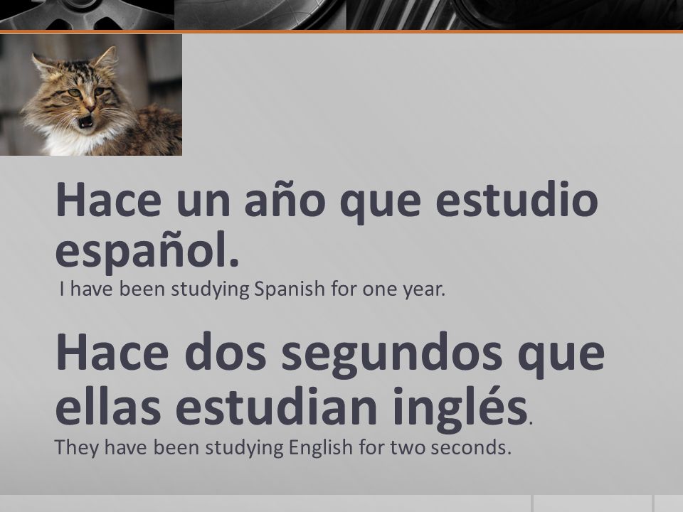 Hace un año que estudio español. I have been studying Spanish for one year.