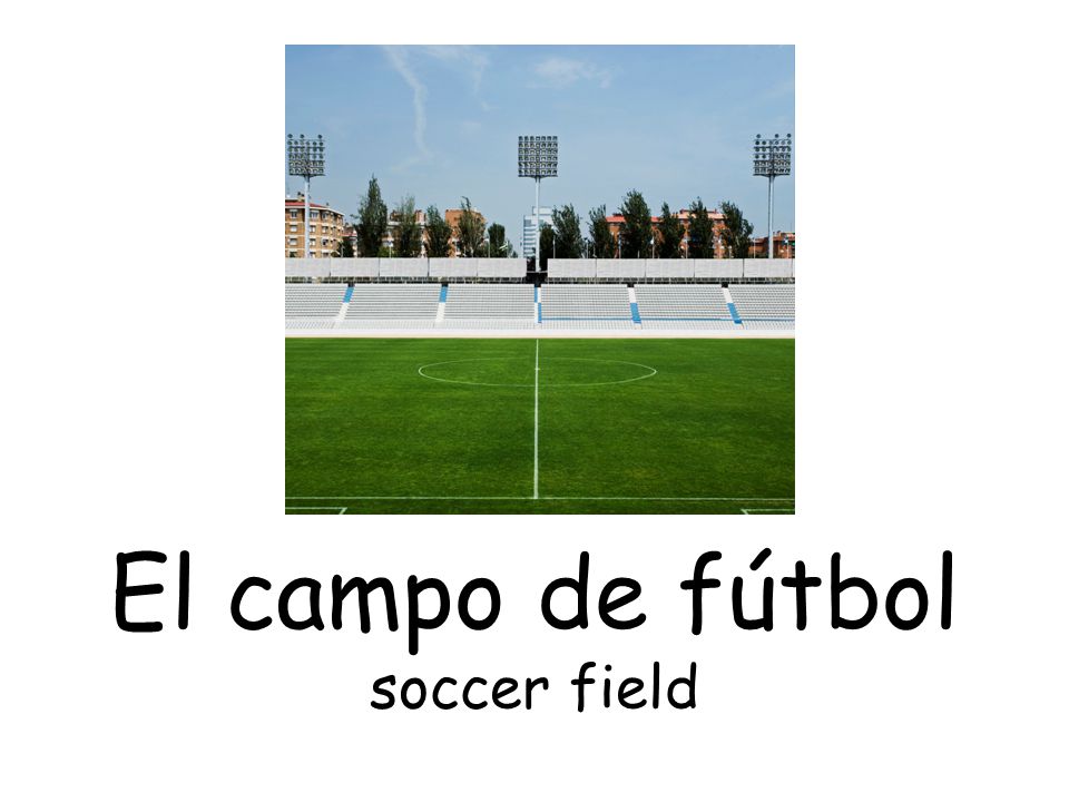 El campo de fútbol soccer field