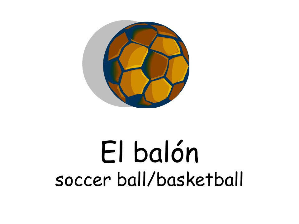El balón soccer ball/basketball