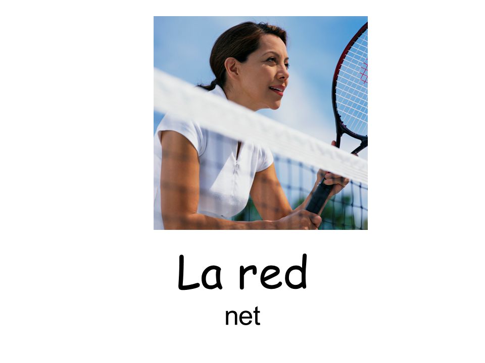 La red net