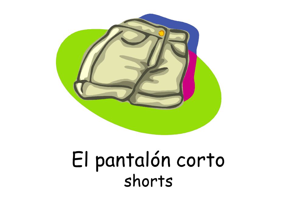 El pantalón corto shorts