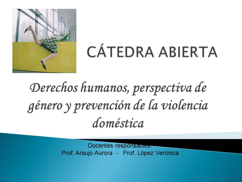 Derechos humanos, perspectiva de género y prevención de la violencia doméstica Docentes responsables: Prof.