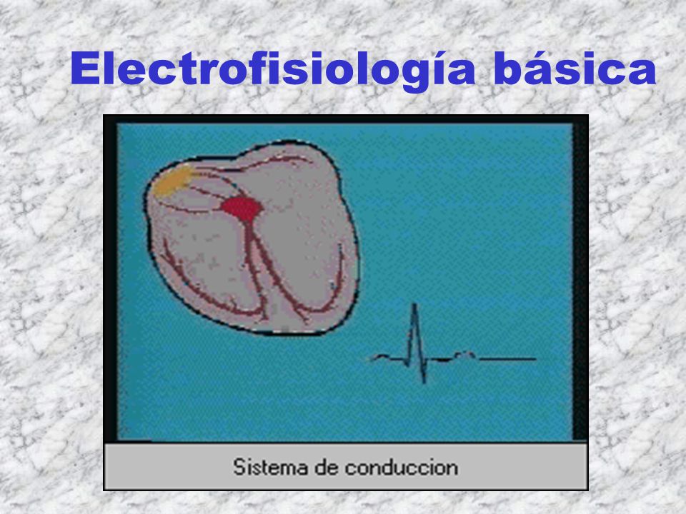 Electrofisiología básica