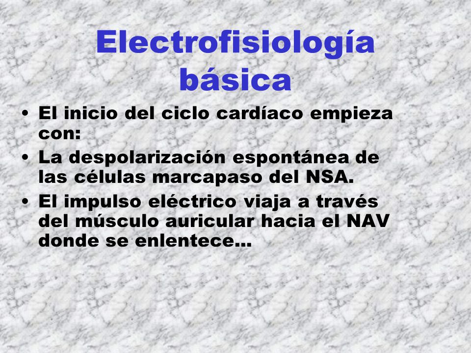 Electrofisiología básica El inicio del ciclo cardíaco empieza con: La despolarización espontánea de las células marcapaso del NSA.