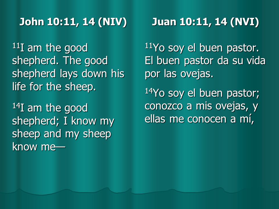 John 10:11, 14 (NIV) 11 I am the good shepherd. The good shepherd lays down his life for the sheep.