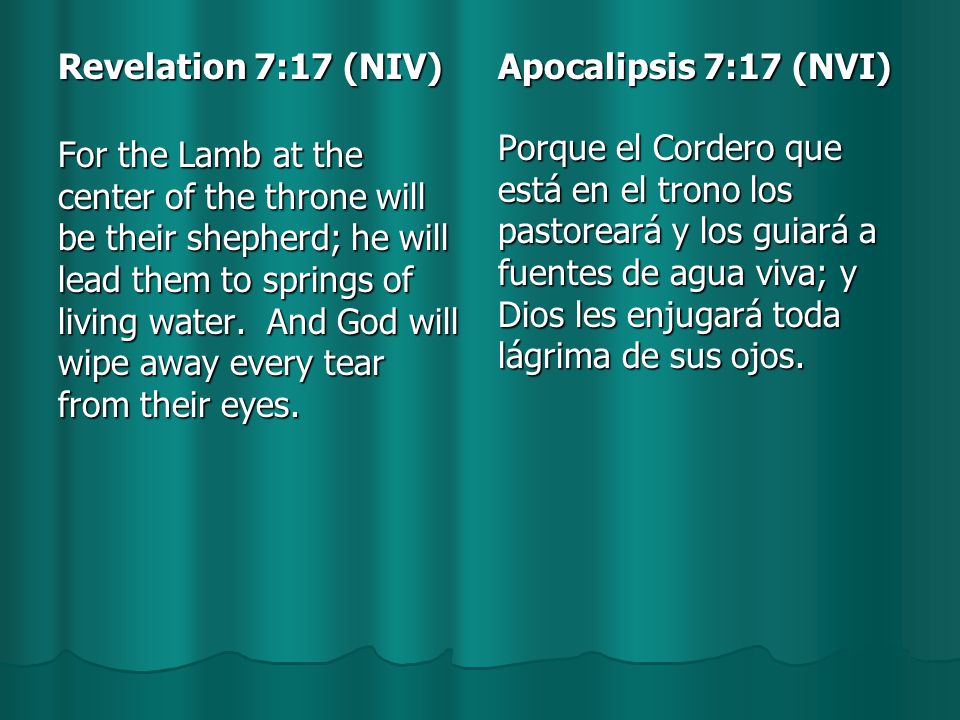 Revelation 7:17 (NIV) For the Lamb at the center of the throne will be their shepherd; he will lead them to springs of living water.