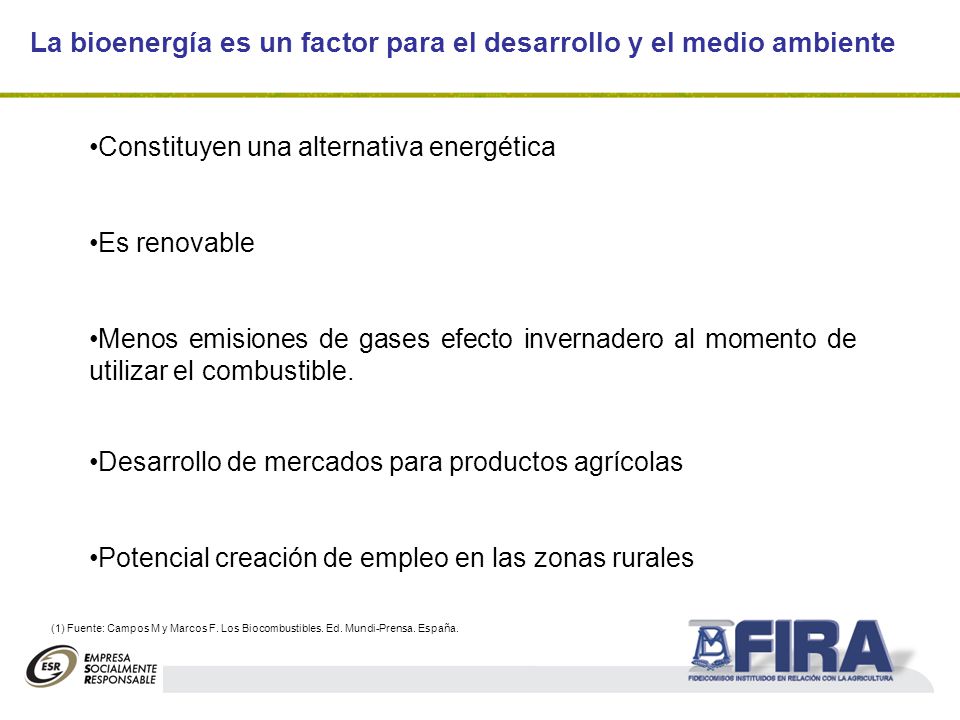 La bioenergía es un factor para el desarrollo y el medio ambiente (1) Fuente: Campos M y Marcos F.