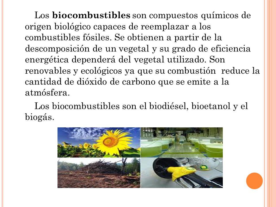 Los biocombustibles son compuestos químicos de origen biológico capaces de reemplazar a los combustibles fósiles.