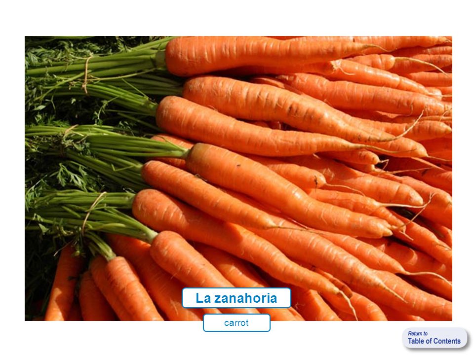 La zanahoria carrot