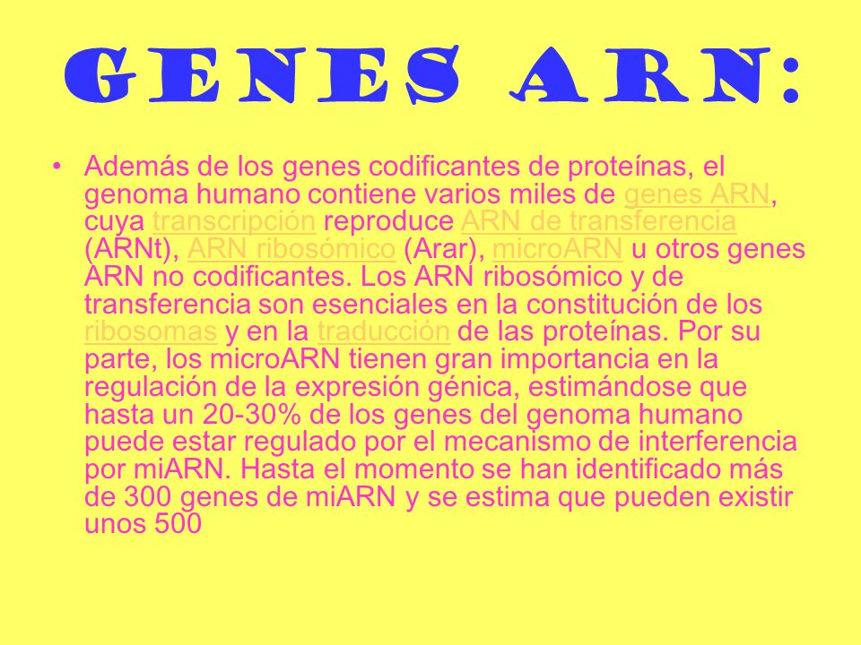 Genes ARN: Además de los genes codificantes de proteínas, el genoma humano contiene varios miles de genes ARN, cuya transcripción reproduce ARN de transferencia (ARNt), ARN ribosómico (Arar), microARN u otros genes ARN no codificantes.