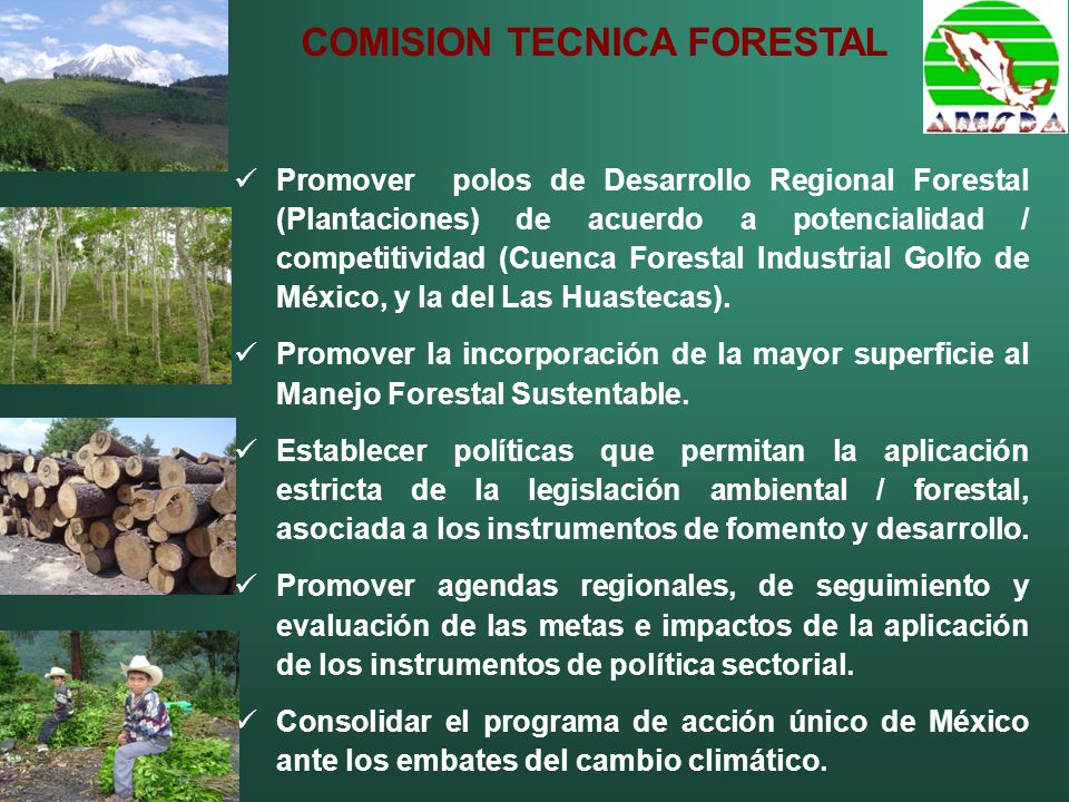 Promover polos de Desarrollo Regional Forestal (Plantaciones) de acuerdo a potencialidad / competitividad (Cuenca Forestal Industrial Golfo de México, y la del Las Huastecas).