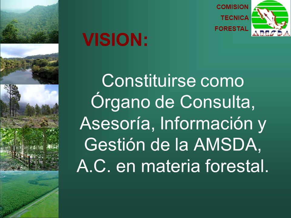 VISION: Constituirse como Órgano de Consulta, Asesoría, Información y Gestión de la AMSDA, A.C.