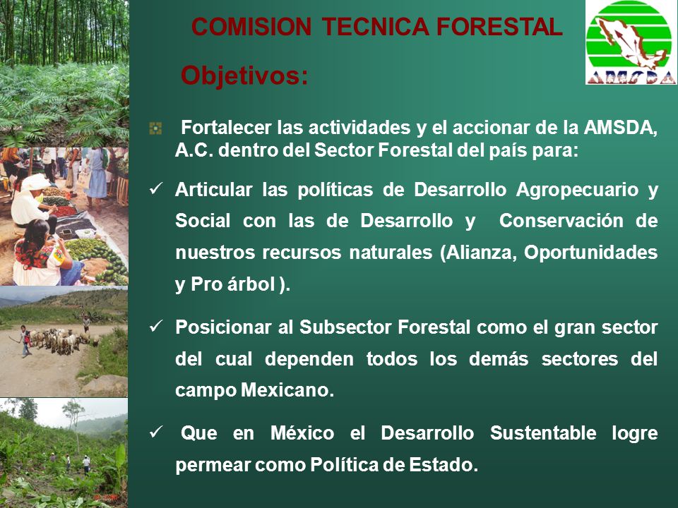 COMISION TECNICA FORESTAL Fortalecer las actividades y el accionar de la AMSDA, A.C.