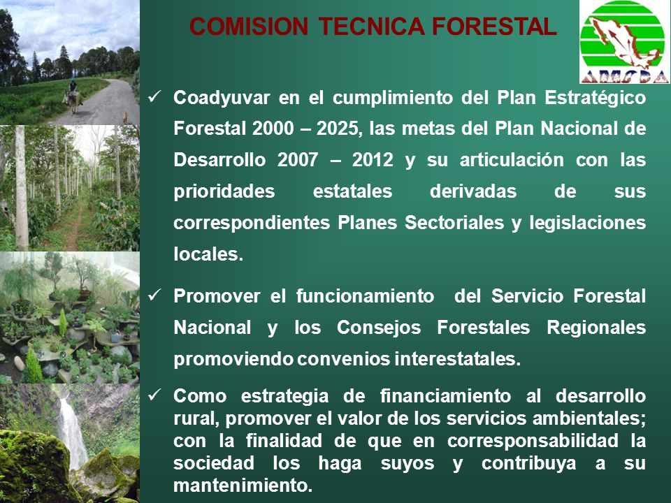 Coadyuvar en el cumplimiento del Plan Estratégico Forestal 2000 – 2025, las metas del Plan Nacional de Desarrollo 2007 – 2012 y su articulación con las prioridades estatales derivadas de sus correspondientes Planes Sectoriales y legislaciones locales.