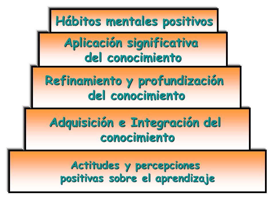 Actitudes y percepciones positivas sobre el aprendizaje Adquisición e Integración del conocimiento Refinamiento y profundización del conocimiento Aplicación significativa del conocimiento Hábitos mentales positivos