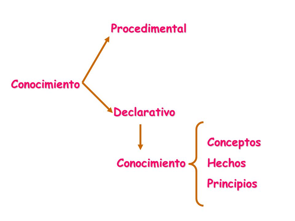 Conocimiento Procedimental Declarativo Conocimiento ConceptosHechosPrincipios