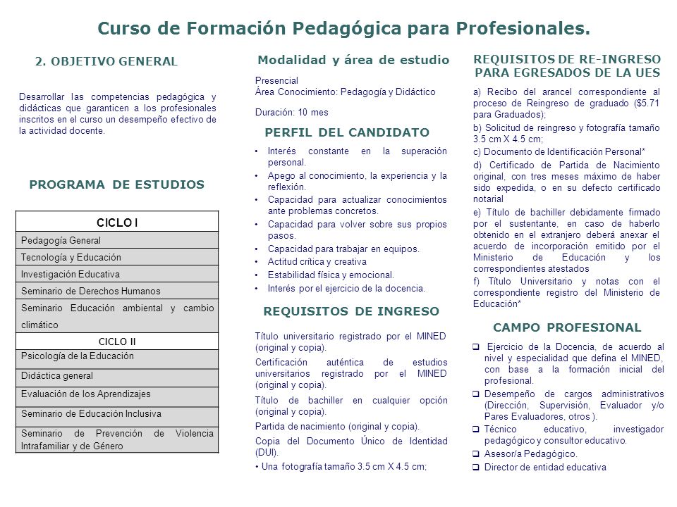 Curso de Formación Pedagógica para Profesionales. 2.