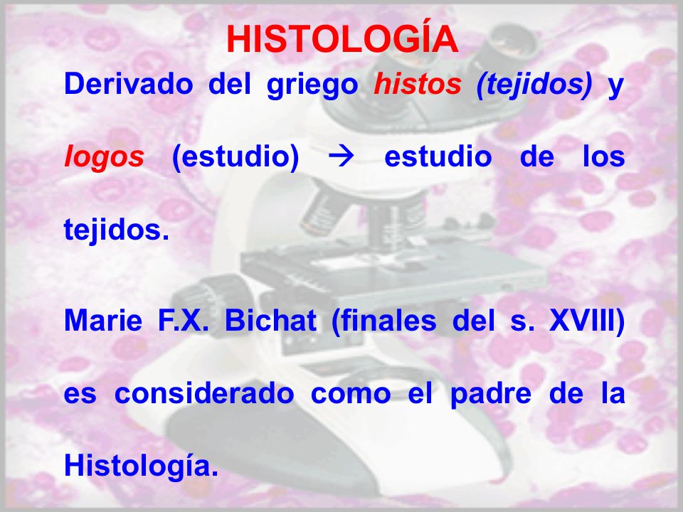 HISTOLOGÍA VETERINARIA MEDICINA VETERINARIA ppt descargar